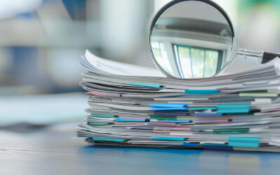 Das DMZ bei der 12. Sitzung des IMO-Unterausschusses HTW