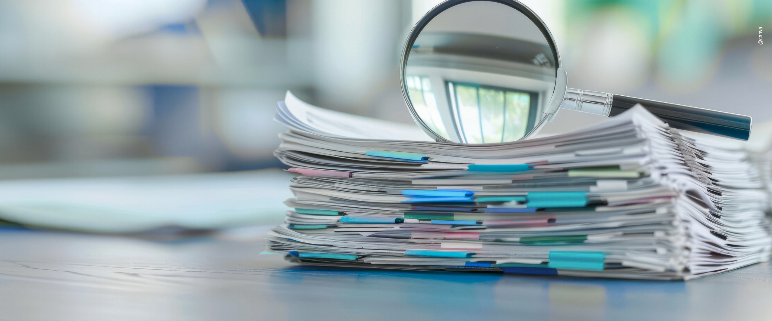 Das DMZ bei der 12. Sitzung des IMO-Unterausschusses HTW